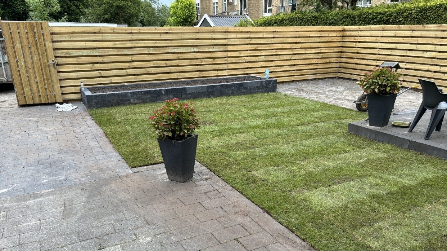 Img 4767 (groot (full Hd))