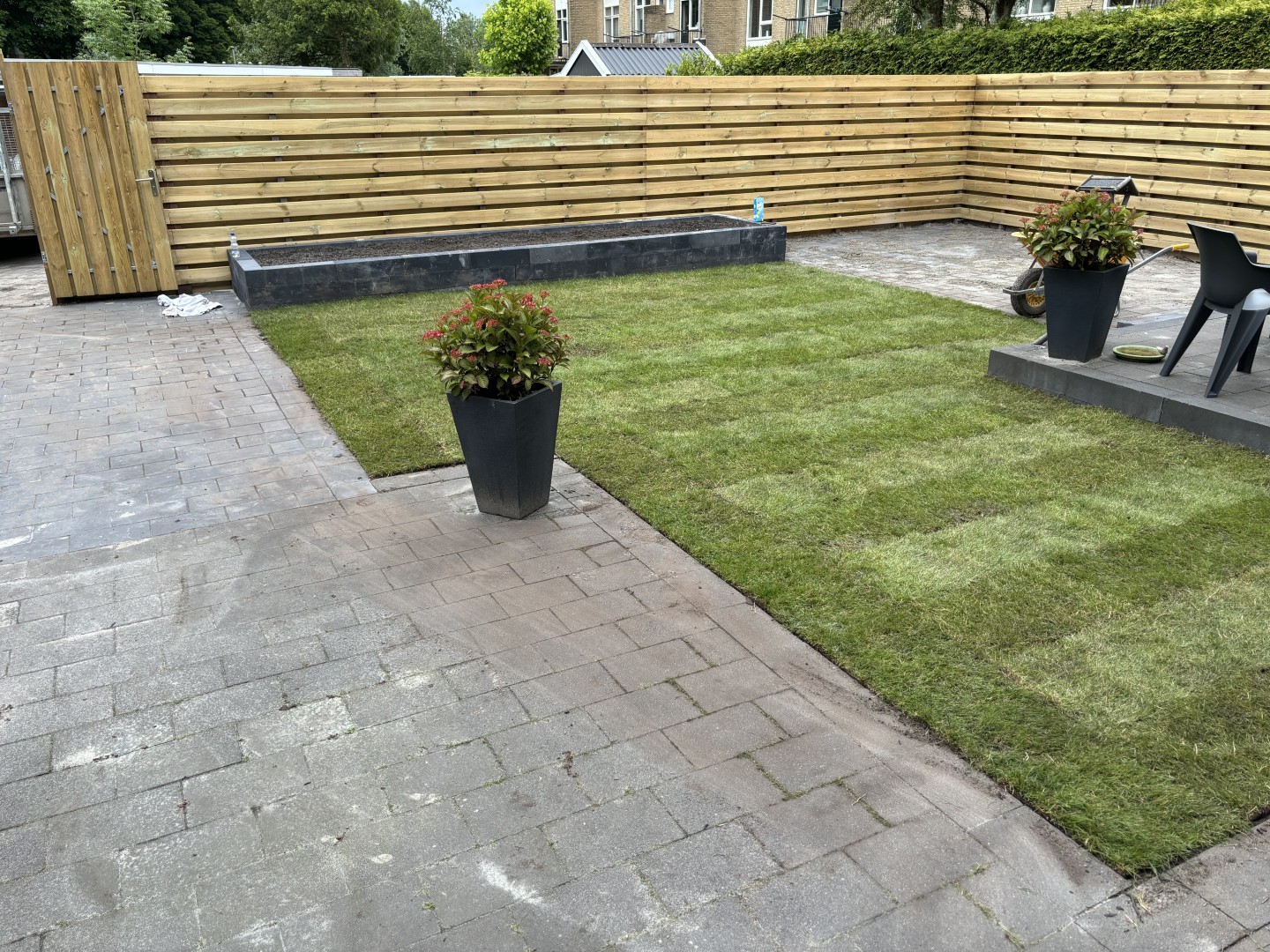 Img 4767 (groot (full Hd))